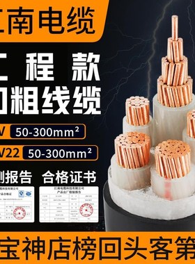 江南电缆YJV22铠装国标铜芯0.6/1FKV低压电线户外专用工地线缆铜