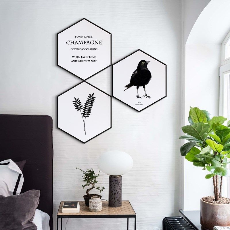 网红蒲公英北欧风k六边形玄装简饰画现代约入户走廊墙面挂画过关,家居饰品,现代装饰画,淘宝优惠券,粉丝福利购,淘宝优惠卷