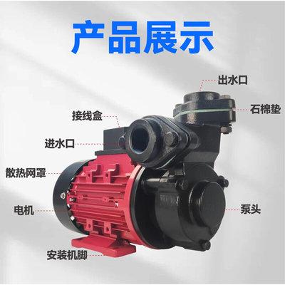 TS6-3/71台湾高温油泵模温机热油循环泵耐高温280&deg;C油泵