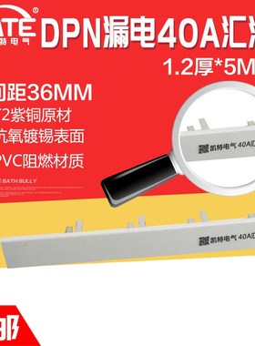 DPN漏电40A汇流排 紫铜1.2*5空开DZ267LE连接排断路器接线排KT006