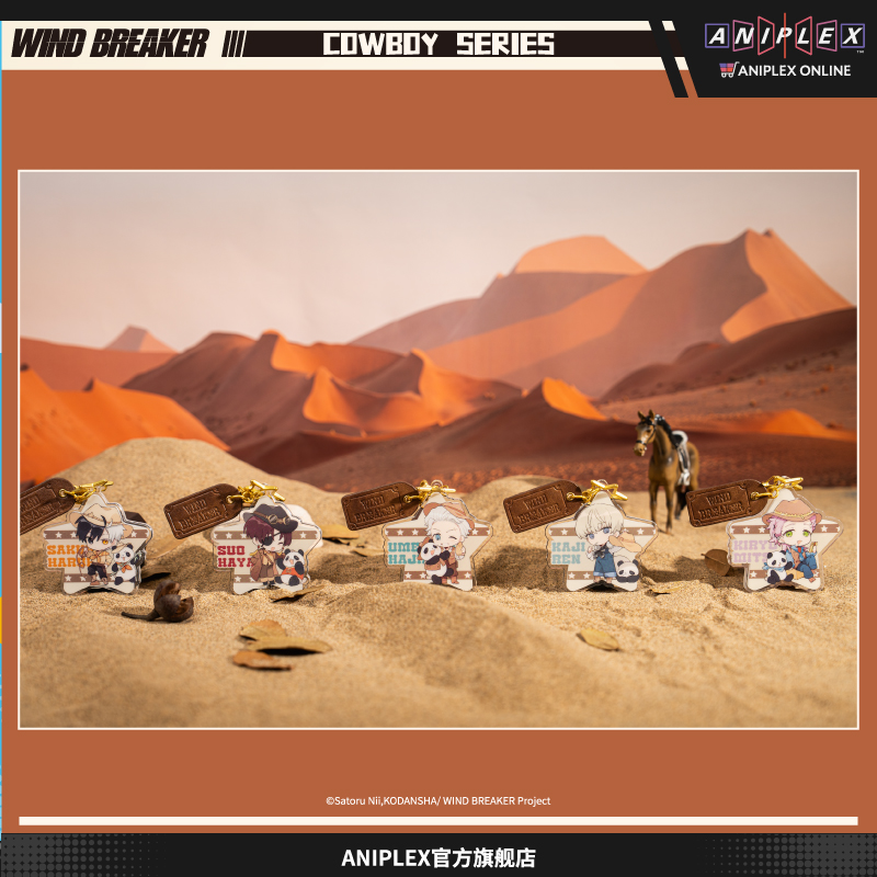 现货正版WINDBREAK防风