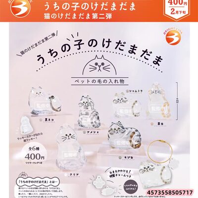 预购3Brightlink我家