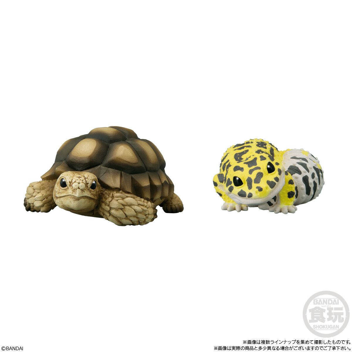 凯门鳄预订掌上雨蛙六角恐龙扭蛋