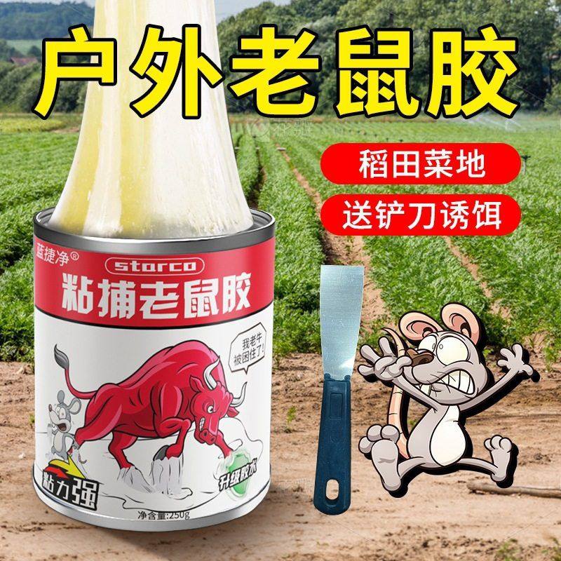 老鼠胶水家用杀老鼠贴粘鼠板强力胶粘大老鼠灭捕鼠器具一窝端,洗护清洁剂/卫生巾/纸/香薰,蚊香液,淘宝优惠券,粉丝福利购,淘宝优惠卷