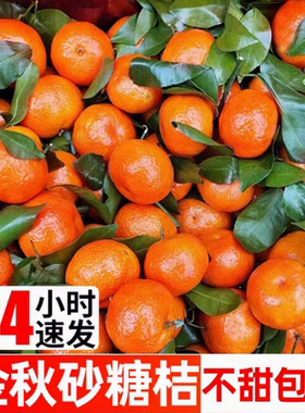 广西砂糖橘9斤新鲜水果当季手撕早熟沙糖桔柑橘子丑时令
