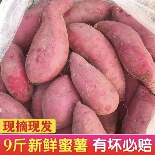 沙地蜜薯新鲜红薯小香薯西