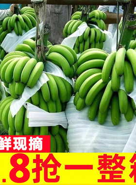 高山甜香蕉10斤当季新鲜水果大芭蕉小米蕉甜蕉皇帝蕉整箱批发包邮