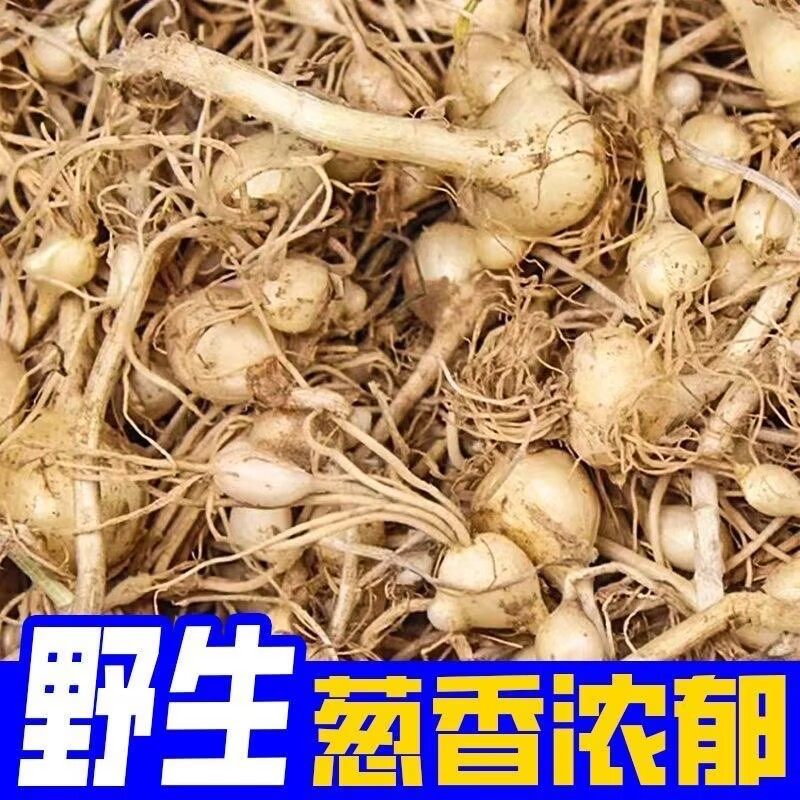 湖南特产新鲜野葱团葱小洋葱头苦茭小蒜头小薤白苦藠根蒜中果特X,水产肉类/新鲜蔬果/熟食,葱类,淘宝优惠券,粉丝福利购,淘宝优惠卷