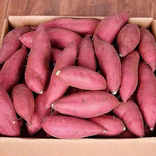 新鲜蜜薯糖心西瓜红薯地瓜9斤板栗番薯小香薯西瓜红烟薯25号小香