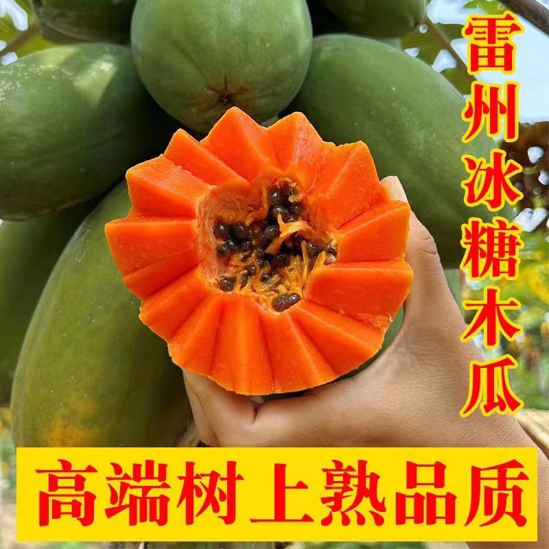 红心牛奶木瓜新鲜水果