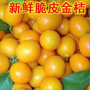 桂林脆皮金桔广西小金桔5斤新鲜水果当季 金橘柑桔纯甜9