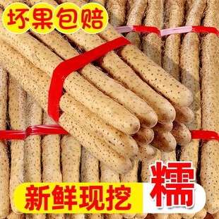 正宗河南焦作温县铁棍山药铁杆怀山新鲜淮山面粉糯5斤 生鲜蔬菜