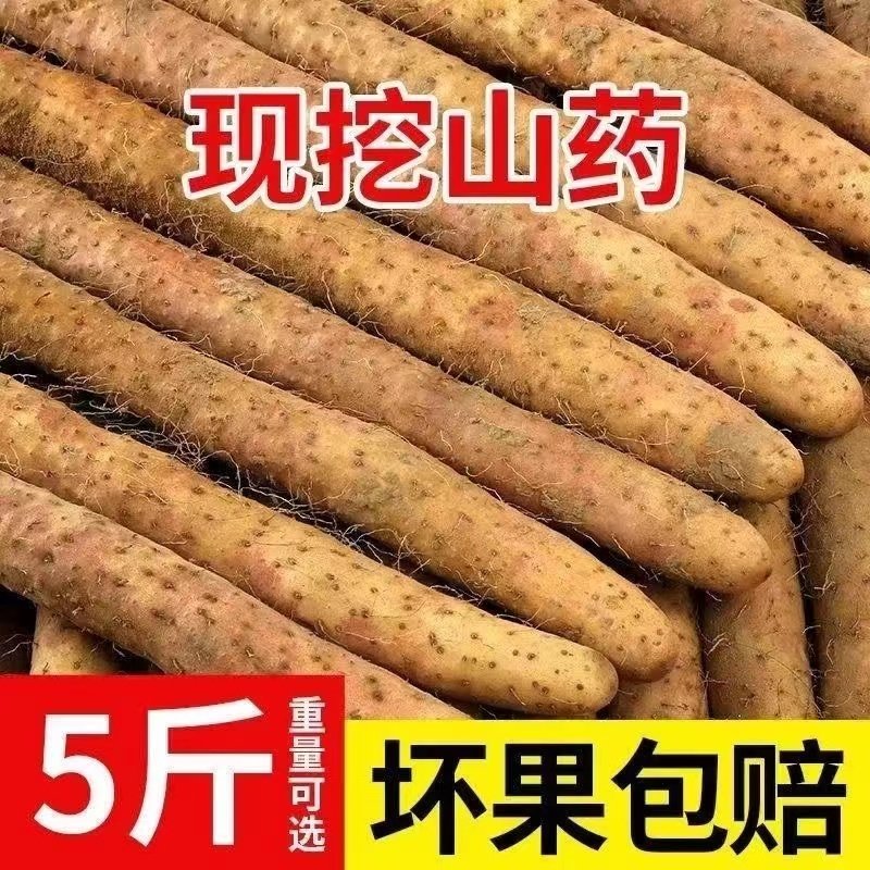 正宗铁棍山药非河南焦作温县铁杆淮山怀山药新鲜5斤包邮整箱