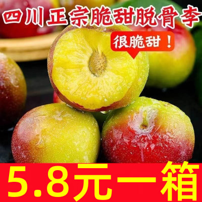 正宗四川脱骨李子新鲜半边红茵红