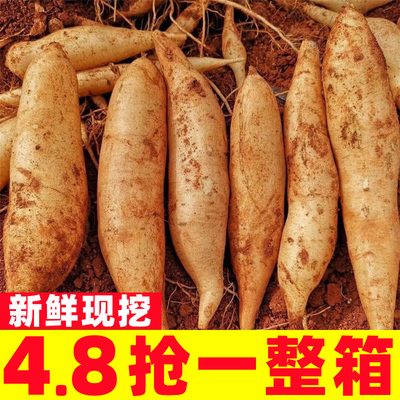 云南天山雪莲果新鲜应当季孕妇