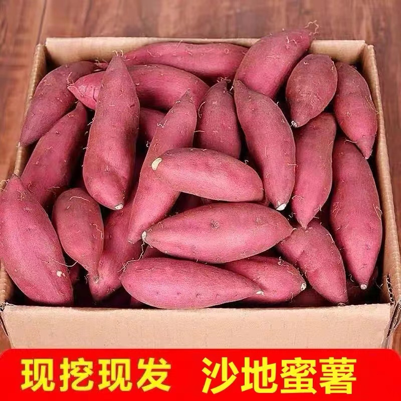 西瓜红红薯板栗番薯糖心蜜薯