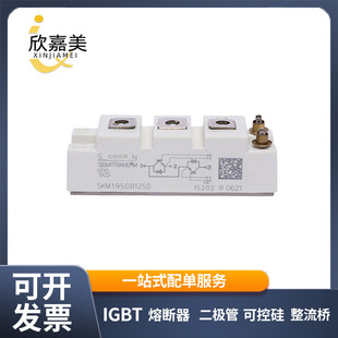 SKM195GB125D SKM100GB12T4G全新原装IGBT模块电子元器件量大价优