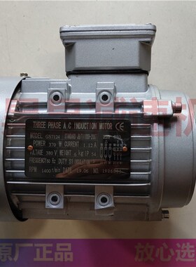GS7124 eGS8036 GS6322 三相电机 THREE PHASE AC INDUCTION MOTO