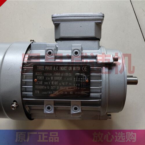 GS7124 eGS8036 GS6322 三相电机 THREE PHASE AC INDUCTION MOTO