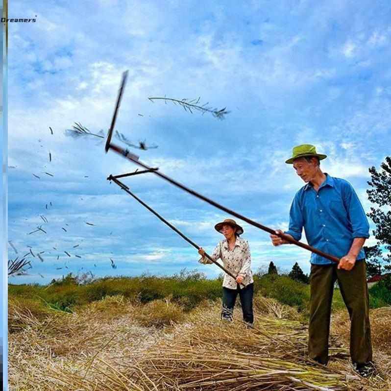 。打菜籽连盖连枷打谷子打油z菜打豆子连架打麦子梿枷农具大全