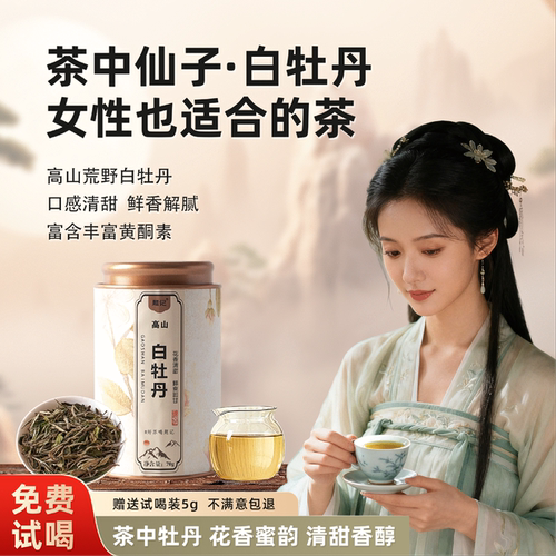 [微微甜 配试喝]福鼎白茶正宗高山白牡丹题记花香清甜适合女性喝