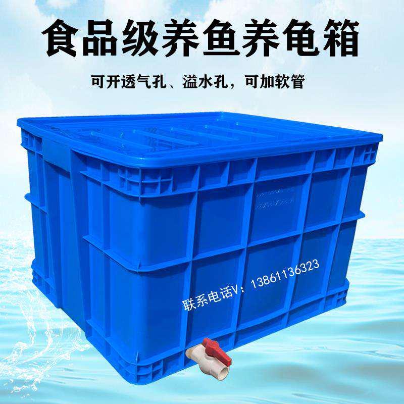 优质超大加水阀周转箱带排水养殖塑料水箱食品级带盖养鱼养龟箱