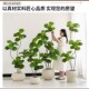 高级仿真植d物仿生绿植盆栽琴叶榕高端轻奢大型室内客厅落地装 饰