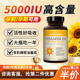 2瓶装 Naturewise维生素d3阳光瓶d5000iu备d孕妇成人维d旗舰店