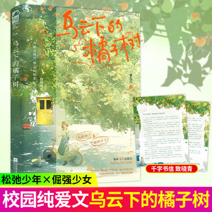 【印特签】乌云下的橘子树 一零九六著 双向暗恋的校园纯爱小说