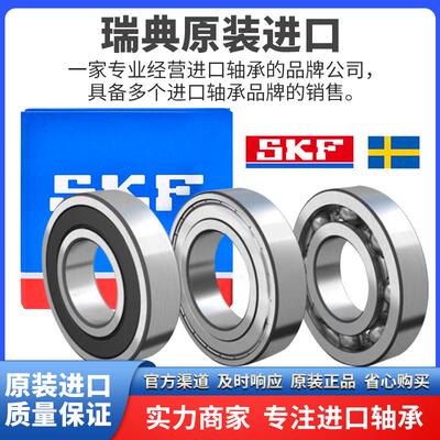 SKF进口不锈钢轴承 S W 6007 6008 6009 6010 6011 6012 6013 2Z