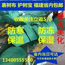 带市政园林绿化防晒防冻无纺 树干防寒保温裹树布包树棉缠树布保湿