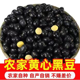 黑豆】新黑豆东北黄心黑豆非转基因发豆芽打豆浆批发优质