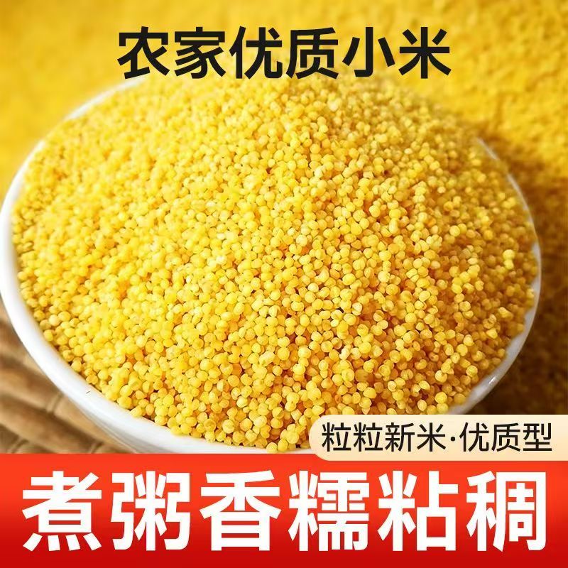 当季新黄小米新米500g农家自产脂米小米粥小黄米五谷杂粮优质软糯
