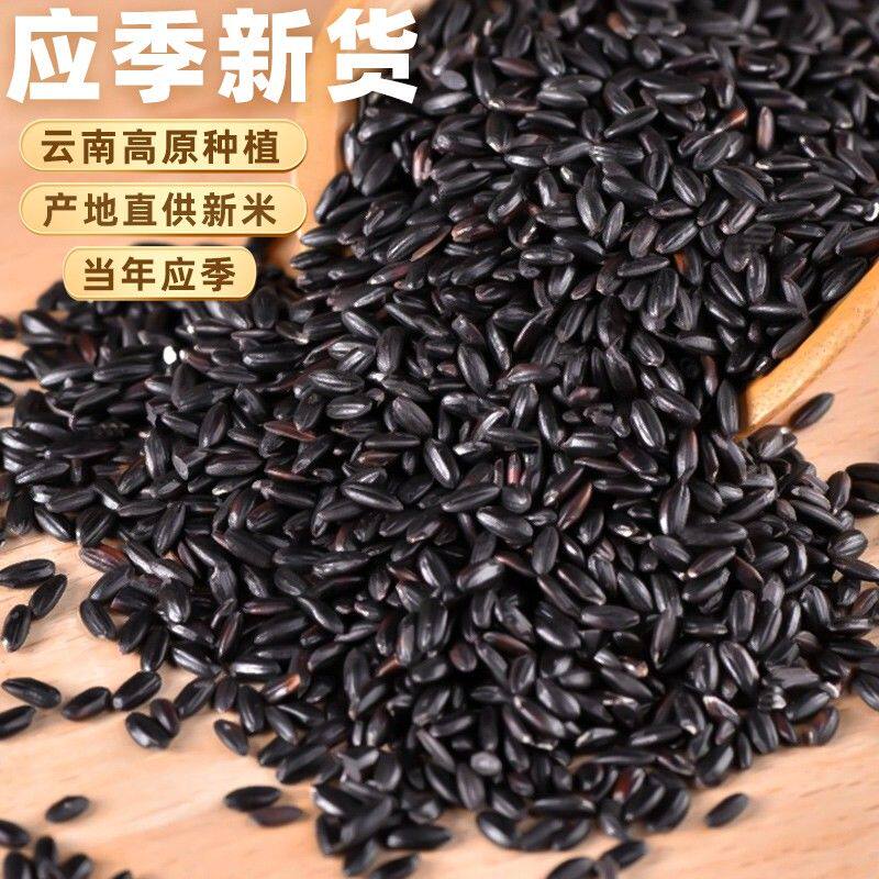 新米东北黑米2025新米杂粮净重新鲜包装农家粗粮香米米粥五谷杂粮
