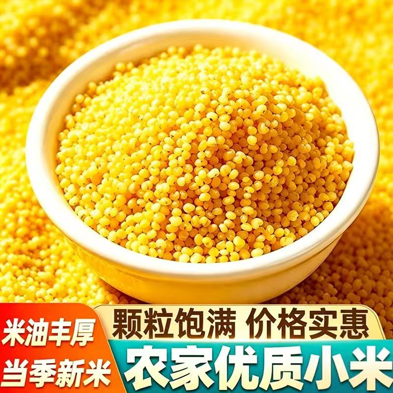 新黄小米新米500克农家自产正宗优质油糯小黄米小米杂粮粥早餐粥