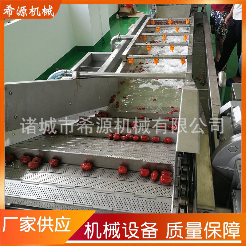 大枣葡萄干清洗机鼓泡式洗山野菜蕨菜果蔬机XY4000型蔬菜清洗机