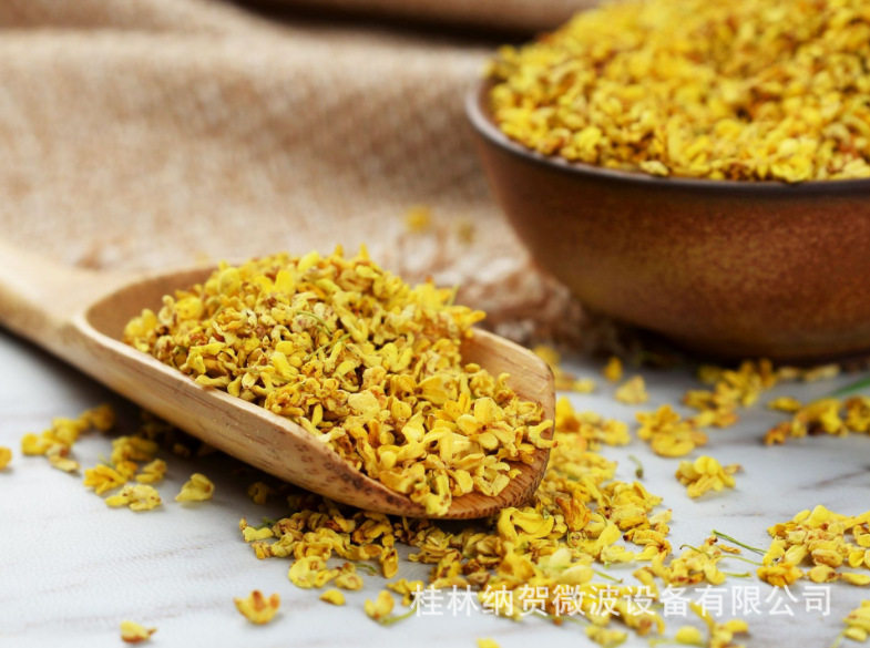 桂林桂花茉莉花玫瑰花纯细胞液，桂林纳贺微波真空低温烘干设备