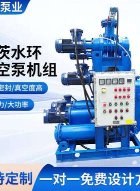 罗茨水环真空泵机组雕刻机吸附平台水箱水泵真空泵自动化真空泵组