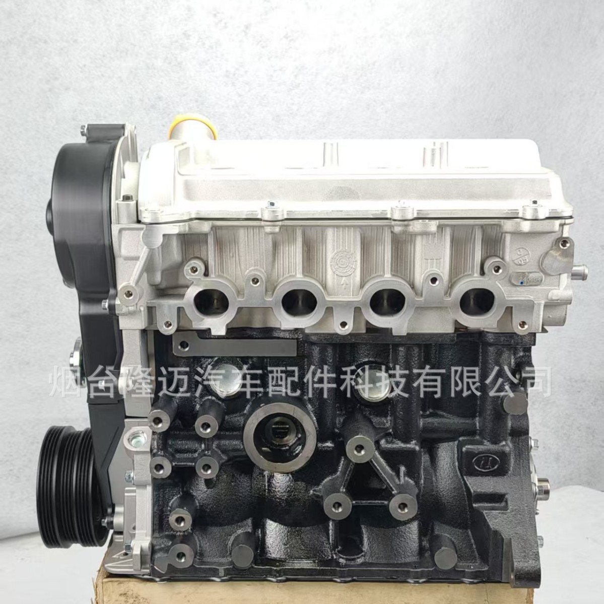 SQR472WB SQR472WD SQR472WF 发动机凸机 适用于奇瑞凸机