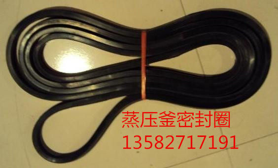 衡阳硫化罐密封圈高压釜密封圈反应釜密封圈杀菌釜密封圈。