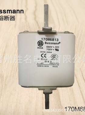 170M6808 170M6810 170M6811 170M6812 170M6813 170M6814熔芯