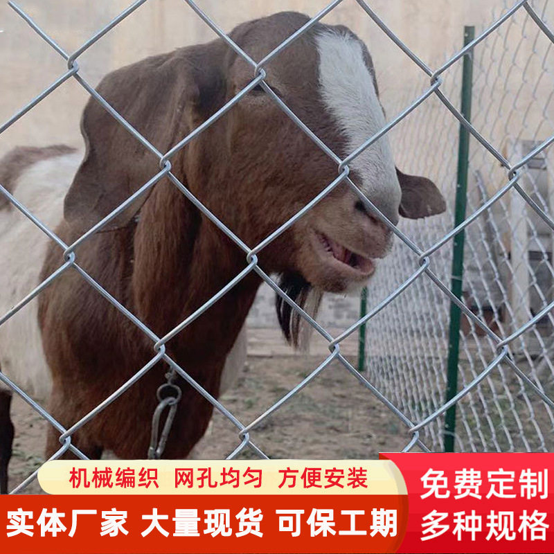 镀锌铁丝网批发养殖安全防护网狗笼子护坡绿化编织菱形勾花网护栏