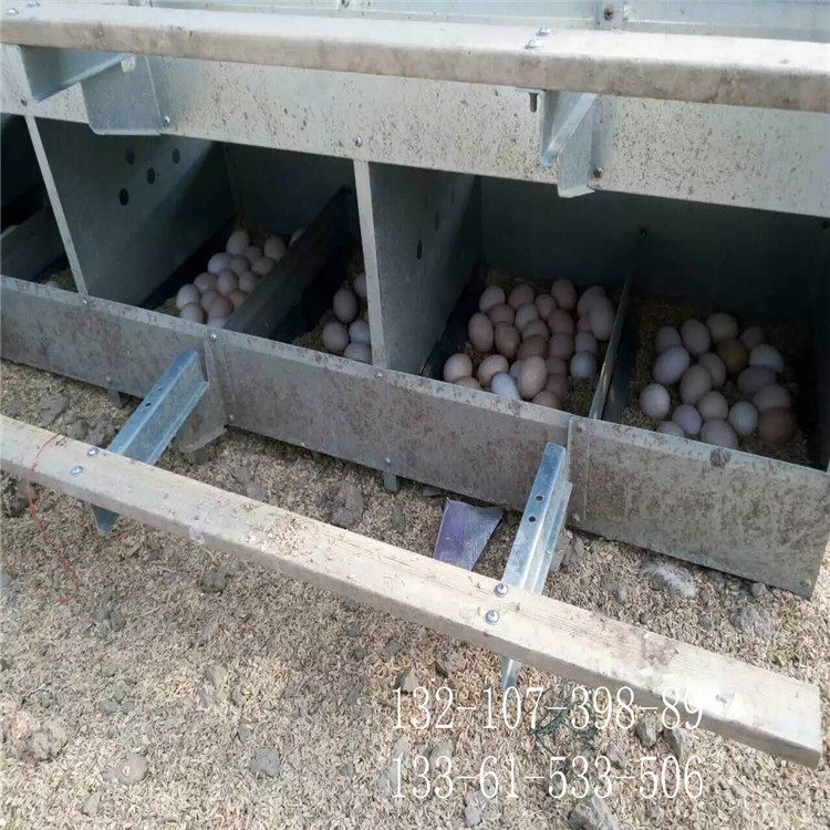 防雨鸡蛋窝加厚镀锌鸡产蛋箱产蛋窝厂家