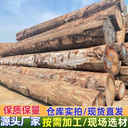 黄山竹子CAR红橄榄防腐木料