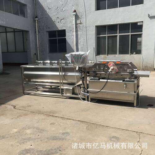 芹菜段涡流清洗机多功能菜椒块涡流清洗震动沥水一体机漩流清洗机