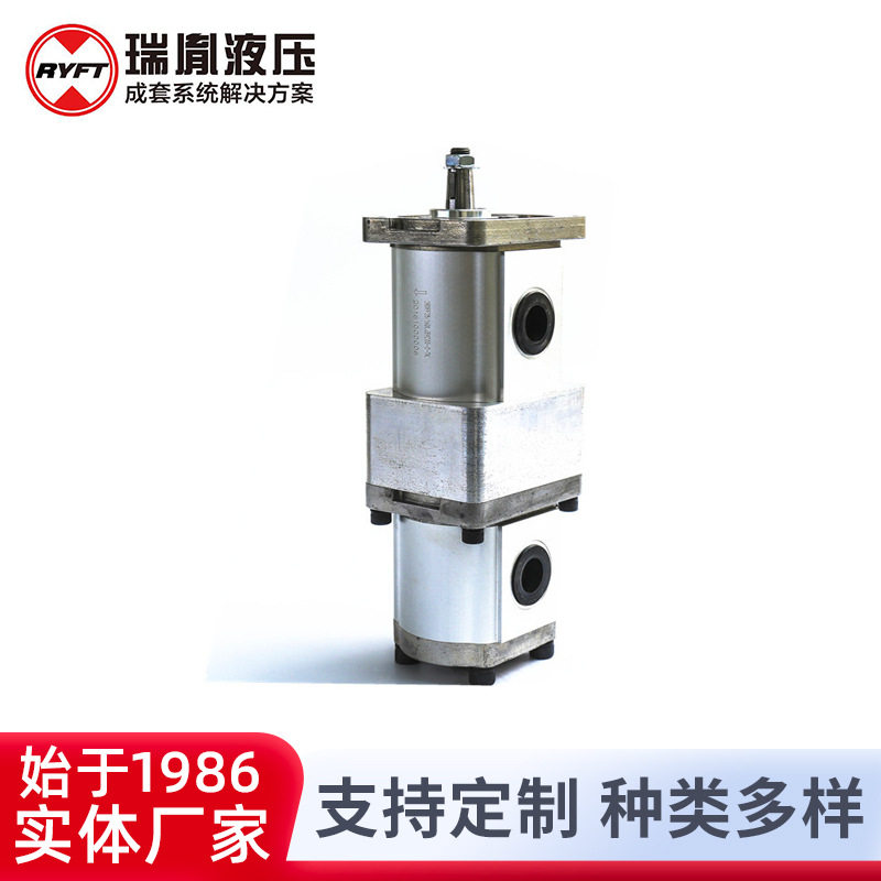 瑞胤 2BDPF可组合式高转速高压力 双联齿轮泵