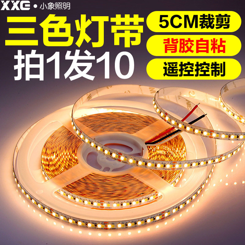 低压24V灯带led三色变色家用柜台装饰双色调光软灯条超亮霓虹灯线