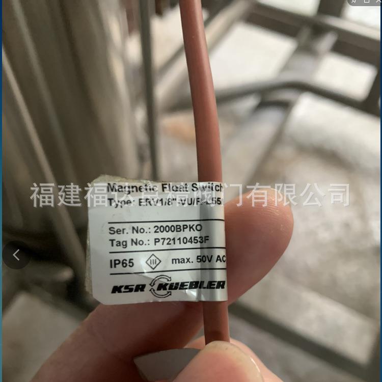 KSRKUEBLER/柯普乐液位变送器液位计P72110453F