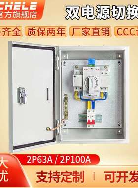 双电源切换箱家用单相220v63a双路自动转换开关配电箱成套2p100a