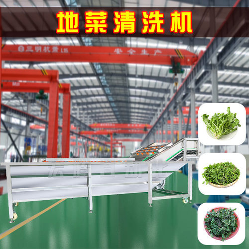 地菜清洗机流水线商用高压喷淋清洗设备预制菜全自动气泡净菜